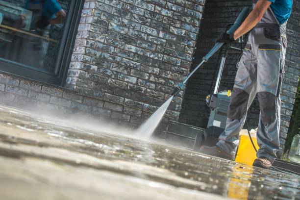 Best Animal Enclosure Cleaning  in Zapata, TX