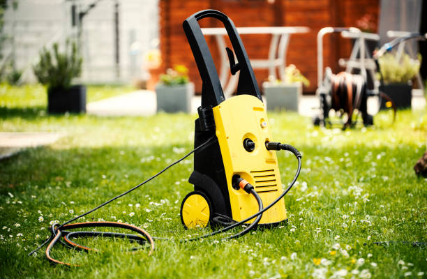 Best Pre-Holiday Cleaning  in Zapata, TX